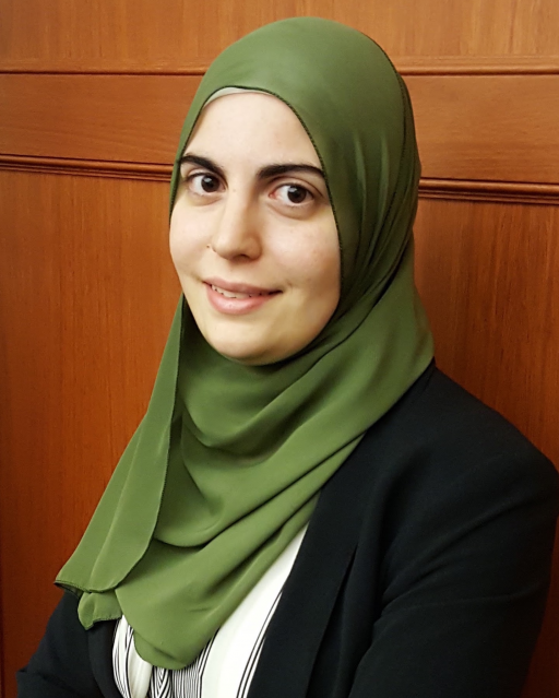 Maryam Saleh